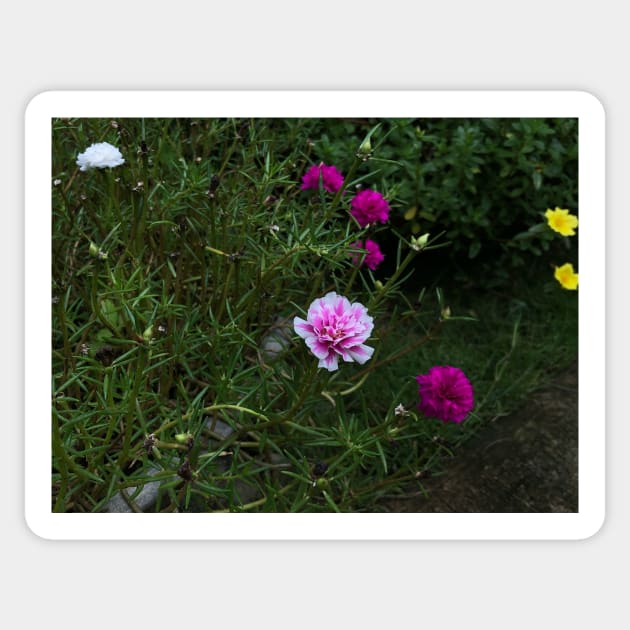 pink flower in the garden Sticker by likbatonboot